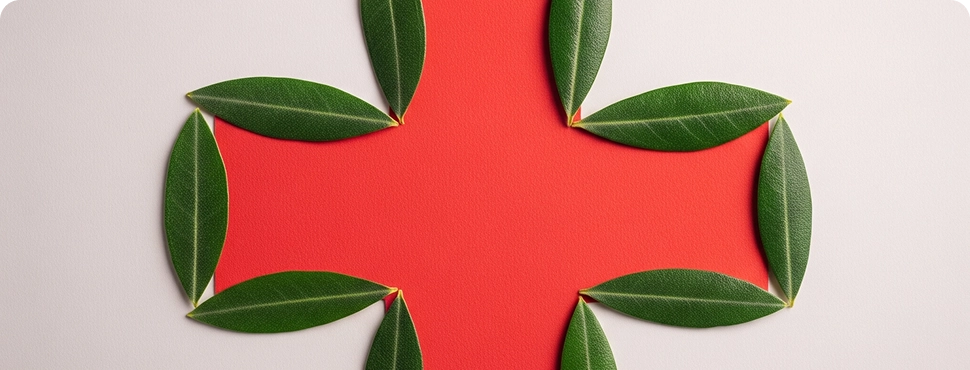 İtalya’da Öğrenci Sağlık Sigortası: Neden Zorunlu ve Neleri Kapsamalı?